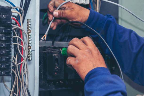 Best Home Electrical Repair  in Sterling, GA